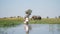 Wild Elephants seen on a river during a canoe safari in the Moremi Game Reserve in Okavango Delta, Botswana.