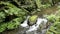 Wild Endert stream next to Cochem, Mosel River Germany. flowing along the Martental valley Enderttal.