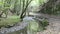 Wild Endert stream next to Cochem, Mosel River Germany. flowing along the Martental valley Enderttal.