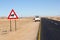Wild feral horses warning road sign Aus desert, Namibia