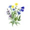 Wild field flowers bouquet with linum and sage