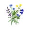 Wild field flowers bouquet with linum and sage, hand drawn