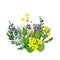 Wild field flowers bouquet, yellow and purple tints