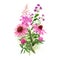 Wild field pink flowers bouquet, hand drawn