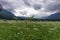 Wild fields and mountains in the background. Bavarian Alps. Germany