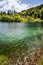 Wild fish swim in a forest lake with waterfalls. Plitvice, National Park, Croatia