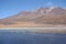 Wild flamingos in the lagoon of Salar de Uyuni