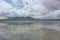 Wild Flamingos at Laguna Capina - Atacama Desert