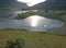 Wild flower along the Snake River under cumulus cloud sky in Alpine Wyoming