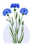 Wild flower Cornflower genus of herbaceous plants of the family Astrovye