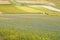 Wild flower fields in the plain of Castelluccio di Norcia. Apennines, Italy