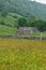 Wild Flower Meadows, Stone Walls and Old Shepherd`s Hut, Kettlewell, Wharfedale, Yorkshire Dales, England, UK