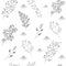 Wild flower pattern. Seamless vector illustration. Black outline. Graphic designe on white isolated background.