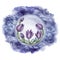 Wild flower purple Pulsatilla, Eastern pasqueflower, prairie crocus, cutleaf anemone, rock lily. Inside the ball