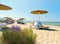 Wild  flowers  on beach straw  umbrellas blue sky  loungers on white sand on horizon blue  sea tropical nature resort Greece