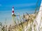 Wild flowers and Beachy Head Lighthouse, Eastbourne, East Sussex, England