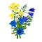 Wild flowers bouquet, blue and yellow tints, st. johns wort gentian