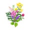 Wild flowers bouquet, fireweed clover and st johns wort