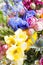 Wild flowers with colorful blossoms