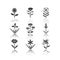 Wild flowers drop shadow black glyph icons set. Helianthus, california poppy, franciscan wallflower, douglas iris, cow