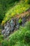 Wild Flowers On East Side of Mount Saint Helens