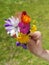 Wild flowers Mountain bouquet