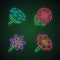 Wild flowers neon light icons set. Cow parsnip, candytuft, coreopsis, blanket flower. Blooming wildflowers, weed. Field