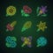 Wild flowers neon light icons set. Helianthus, california poppy, calypso orchid, liatris, common star lily, blue eyes