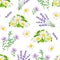 Wild flowers pattern. Chamomile, lavender and thyme isolated on white background. Vector illustration of meadow herb