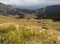 Wild flowers on Pyrenees panorama