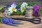 Wild flowers, scissors and hank of threads on an old wooden back