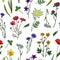 Wild flowers seamless pattern. Floral wildflower vintage wallpaper. Summer, spring botanical textile vector texture