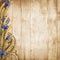 Wild flowers with spikelets on a wooden background