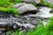 A wild flowing creek passing fast grey ball shaped stones and green grass