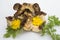 Wild Foraged Mushroom selection isolated on white background