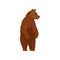 Wild forest bear standing on two hind legs. Large mammal animal with brown fur. Wildlife theme. Flat vector icon