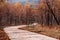 Wild Forest curvy rural road scene with tree along both side