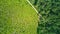 Wild forest lanscape, path and forest clearance aerial drone view, green trees from above, forest background