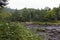 Wild forest on Quarry Trail in wilmington new york