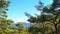 Wild forrest mountains, ocean in the distance,selective focus