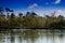 Wild fowl on lake