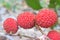Wild fruit from forest, wild lychee