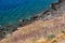 Wild Garlic Growing Beside Sea, Monemvasia, Greece