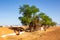 Wild ghaf trees and buried in sand buildings on a sandy desert in Al Madam buried ghost village in United Arab Emirates