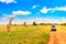 Wild giraffe near safari car in Masai Mara National Park, Kenya. Safari concept. African travel landscape