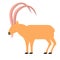 Wild goat flat illustration