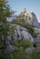 Wild goats on the rocks of Torcal