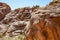 Wild goats standing on a rock in the park of Fire valley