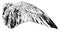 Wild Goose Wing have a bird wing, vintage engraving