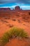 Wild grass in the Monument Valley, Navajo Land, Utah